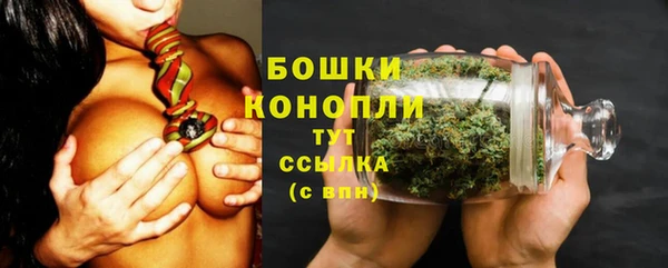 винт Верея