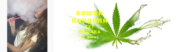 винт Верея