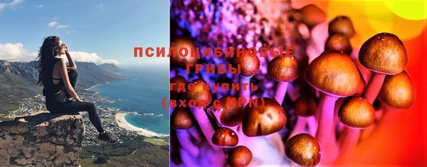 гидропоника Бронницы